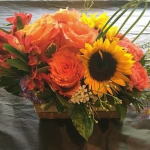 Meet your Posher, Lynn